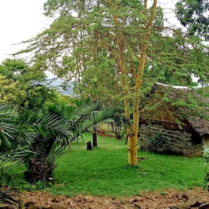 Maili Saba Camp Villa Nakuru Kültér fotó